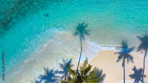 The shadow of summer palm tree  and Tropical beach with blue  of seashore background