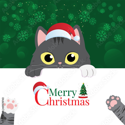 christmas cat and santa claus
