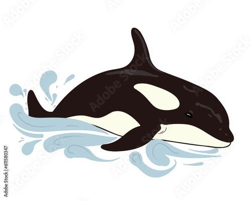 cartoon killer whale or orca on swims in water, vector illustration