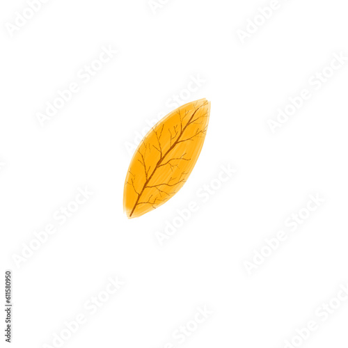 Leaf