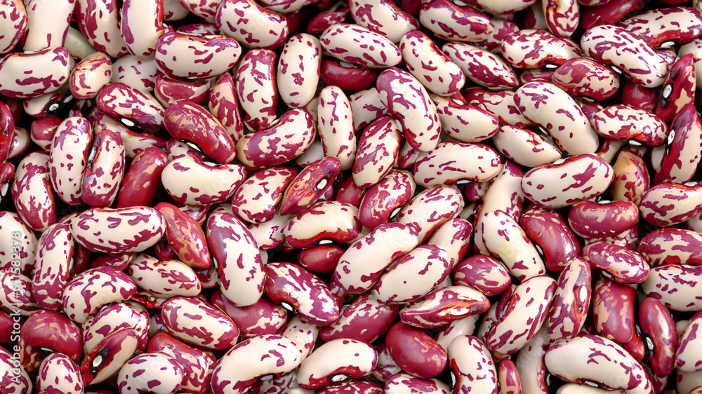 A can of beans on the farm. Full frame bean photo. A can of beans on the farm. Full frame bean photo.