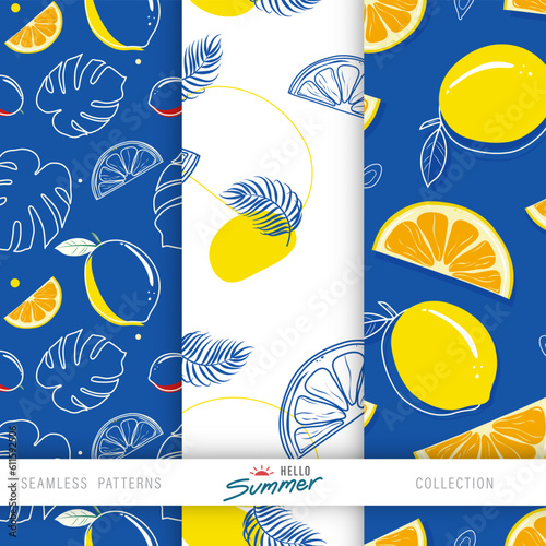 Citrus fruit summer seamless pattern set vector design