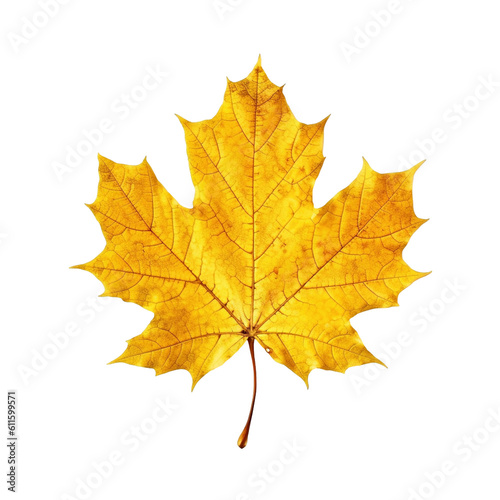 Yellow maple leaf isolated on transparent background  created with generative AI