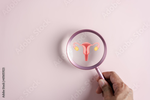 Fényképezés Checkup uterus reproductive system , women's health, PCOS, ovary cancer treatment and examine, Healthy feminine concept