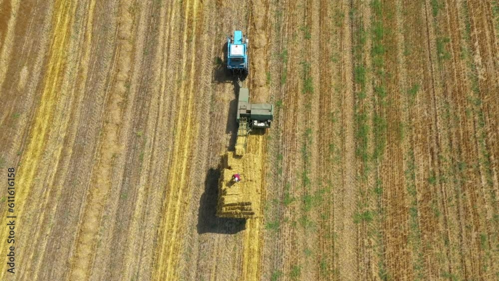 A tractor collects hay from the agricultural field. Farm machinery performs seasonal summer work on the field. A worker stacks hay bales. Modern agriculture at drone view. 4K A tractor collects hay from the agricultural field. Farm machinery performs seasonal summer work on the field. A worker stacks hay bales. Modern agriculture at drone view. 4K