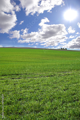 Environment, clouds and blue sky with landscape of field for farm mockup space, nature and ecology. Plant, grass and horizon with countryside meadow for spring, agriculture and sustainability