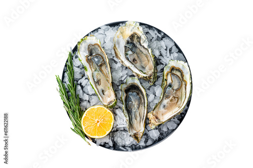 Seafood appetizer - Opened Fresh oysters with lemon and ice. Isolated, transparent background