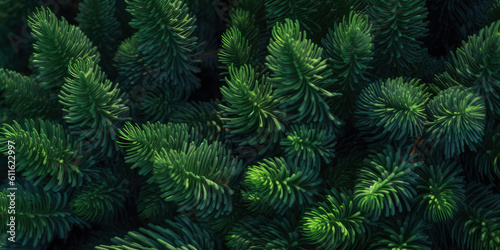 Close up of evergreen conifer fir  spruce  pine. Macro Shoot coniferous branch. Nature forest background  wallpaper. Generative ai