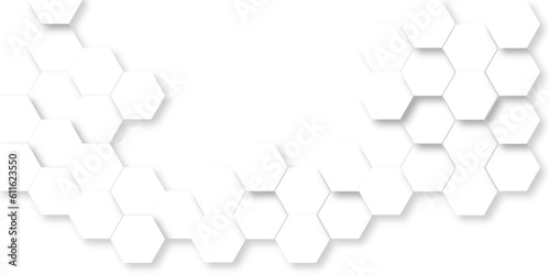 Background with hexagons . Abstract background with lines . white texture background . white and hexagon abstract background. white paper texture and futuristic business .