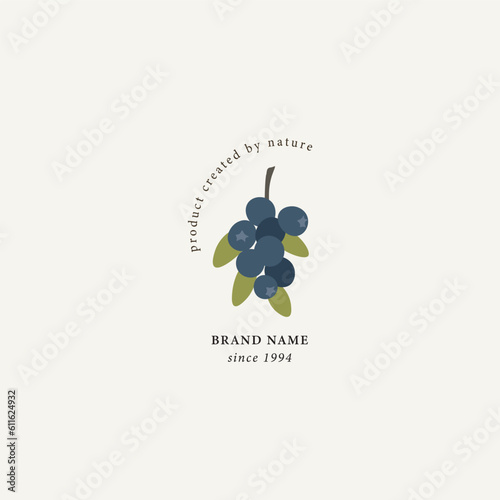 Flat vector blueberry branch logo