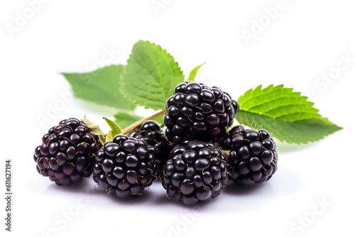 Blackberries white background