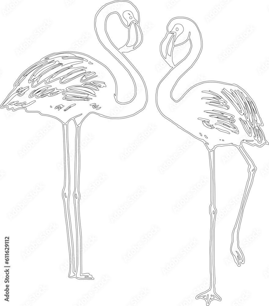 Obraz premium Flamingo bird vector graphic