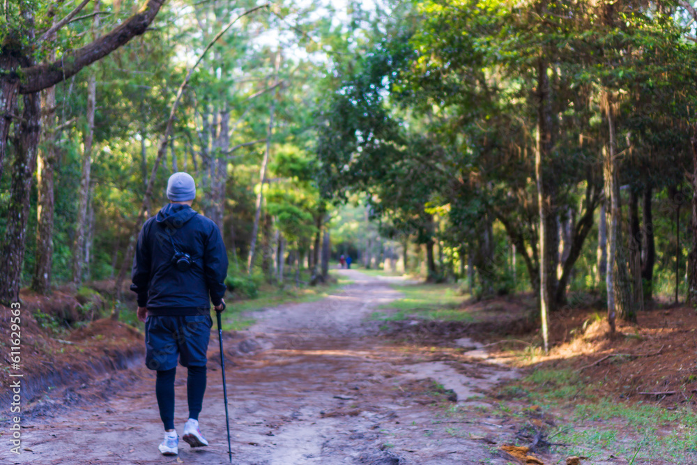 Male tourist walking on a pathway in a pine forest, enjoy outdoor leisure activity in green forest woods, travel destination for tourist, travel, photography on vacation.