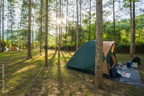 Tourist tent in green pine forest, warm light.