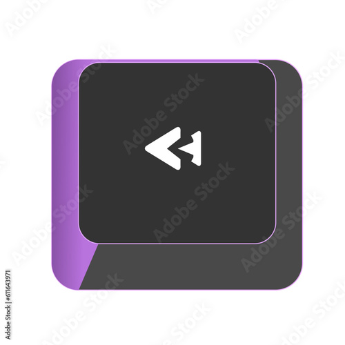 Single vector illustration, LEFT button on the keyboard
