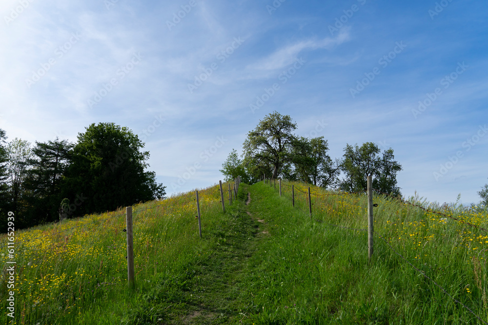 Way up in a field and blue sky