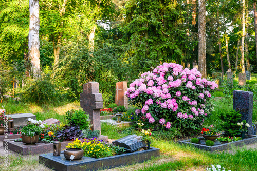Bild auf Leinwand Friedhof mit geschmückten Grabstätten und Bäumen