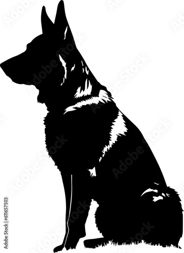 german shepherd images