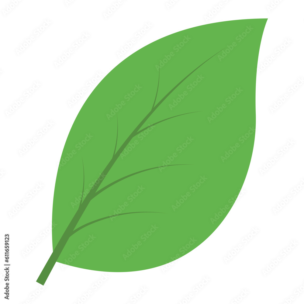 Fototapeta premium leaf