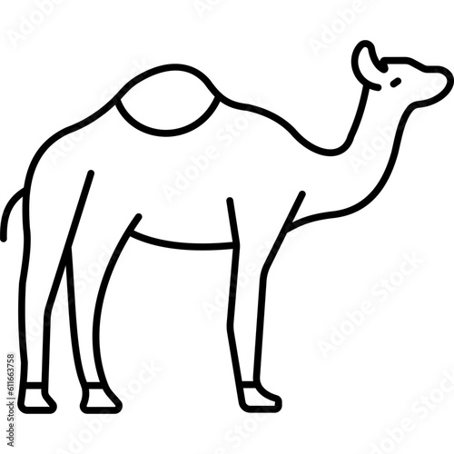 Camel   