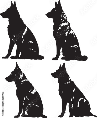 german shepherd images