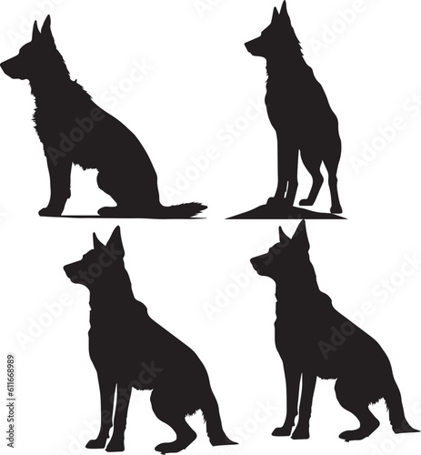 german shepherd images
