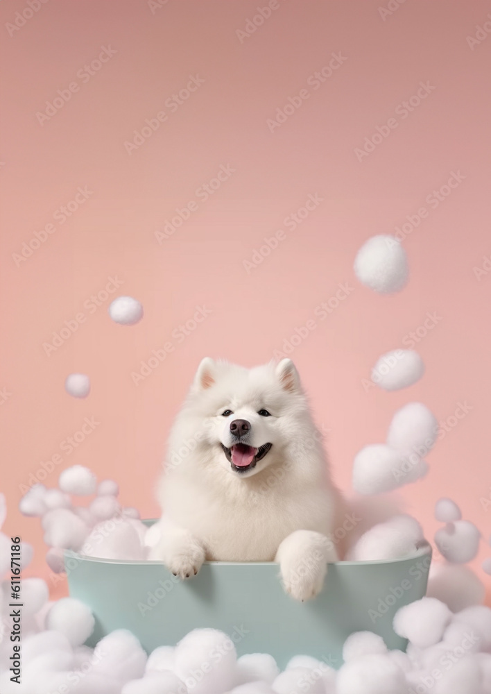 Cute Samoyed dog in a small bathtub with soap foam and bubbles, cute pastel colors.