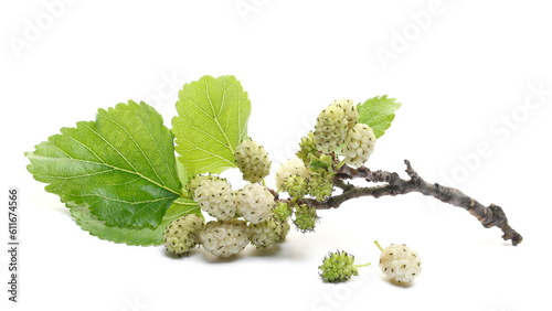 Fresh white mulberry fruit with leaves isolated on white  
