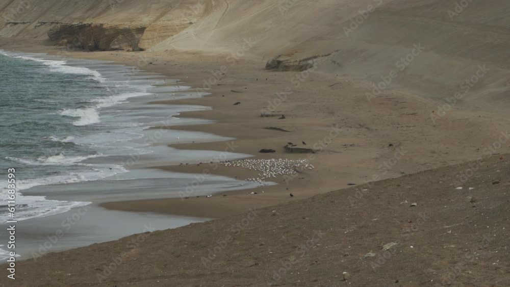 custom made wallpaper toronto digitalshorebirds, such as flamingos, wading along the sandy beach.