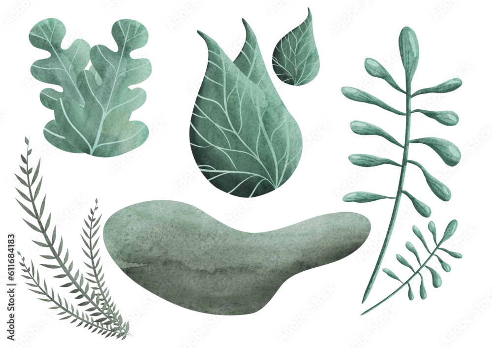 Ensemble de feuilles et plantes vectorielles, aquarelle, composition, affiche, flyer, carte.