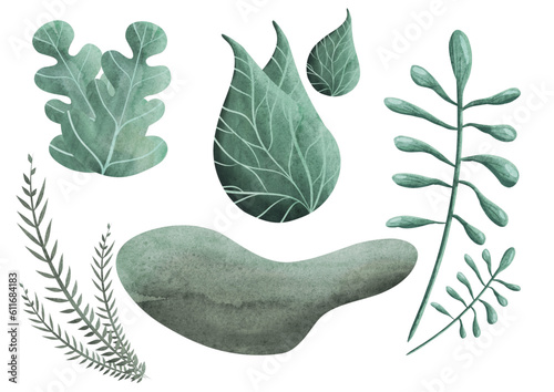 Ensemble de feuilles et plantes vectorielles, aquarelle, composition, affiche, flyer, carte.