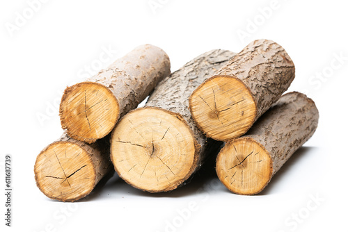 Several cut willow logs isolated over white background