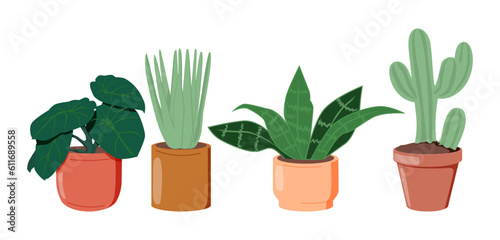Potted plants set. Interior houseplants in planters, baskets, flowerpots. Home indoor green decor.