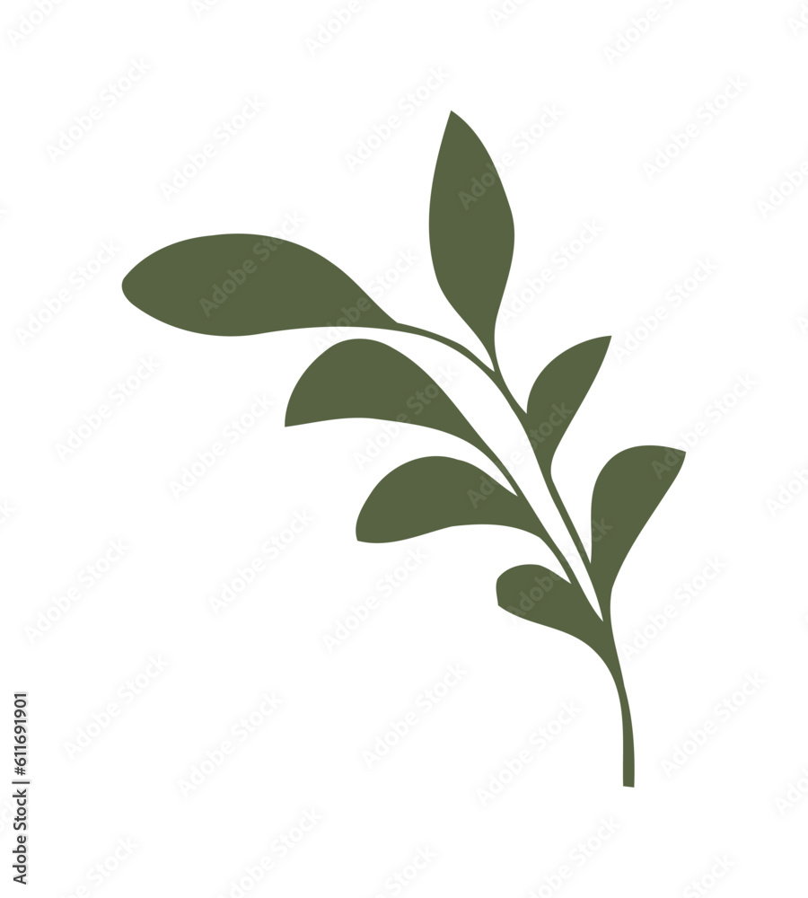 Nature beauty branch leaf design