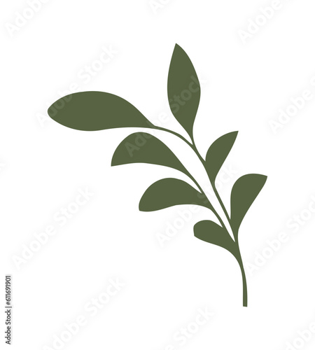 Nature beauty branch leaf design