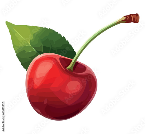 red cherry vector