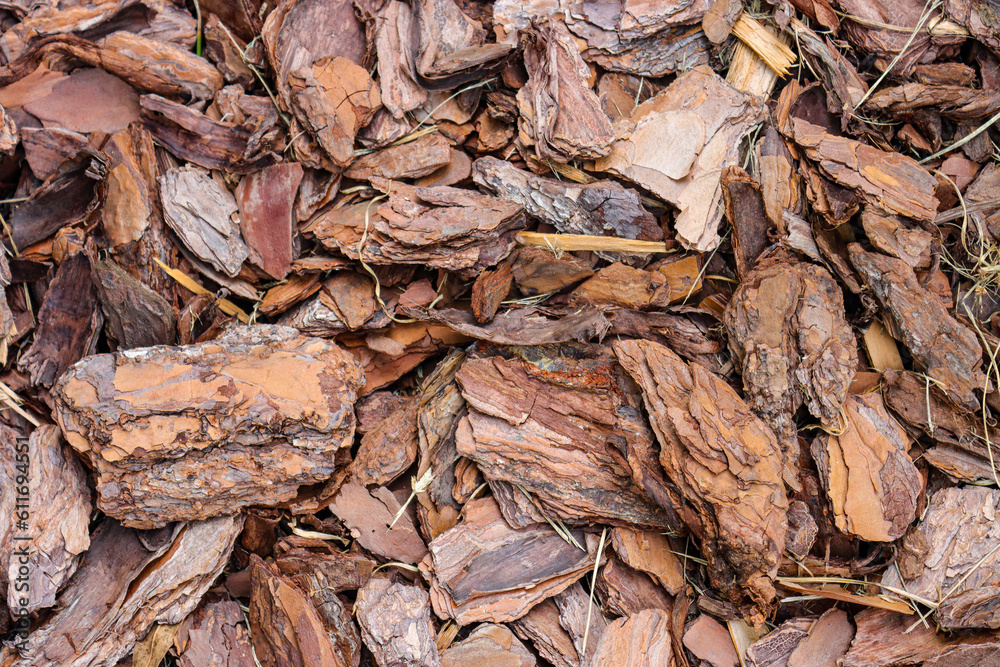 Large Pine Bark Nuggets Arranged Horizontally Large Pine Bark Nuggets Arranged Horizontally