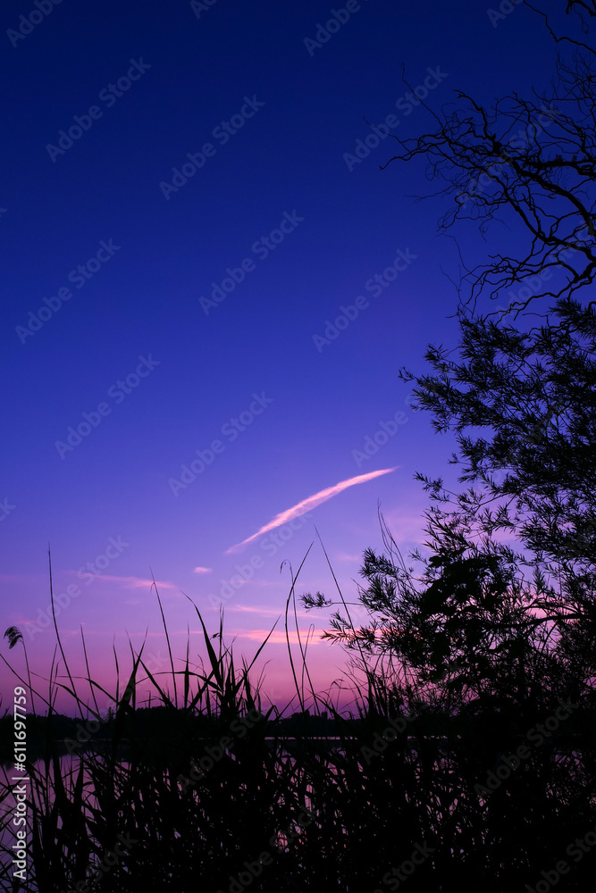 Rural landscape at dawn in front of a lake. Silhouette of tree and vegetation in front of the water. Rural landscape at dawn in front of a lake. Silhouette of tree and vegetation in front of the water.