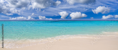 Sunny closeup of sea sand beach blue summer sky. Panoramic beach landscape. Tranquil relaxing sunshine soft waves splashing on Mediterranean sandy shore. Coastline seaside idyllic nature background © icemanphotos