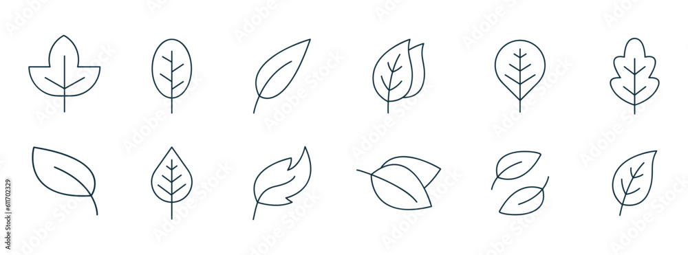 Leaf icon. Vector illustrations of botany, herbal, ecology, bio, organic, vegetarian, eco, fresh, and natural icon set Leaf icon. Vector illustrations of botany, herbal, ecology, bio, organic, vegetarian, eco, fresh, and natural icon set