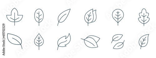 Leaf icon. Vector illustrations of botany  herbal  ecology  bio  organic  vegetarian  eco  fresh  and natural icon set