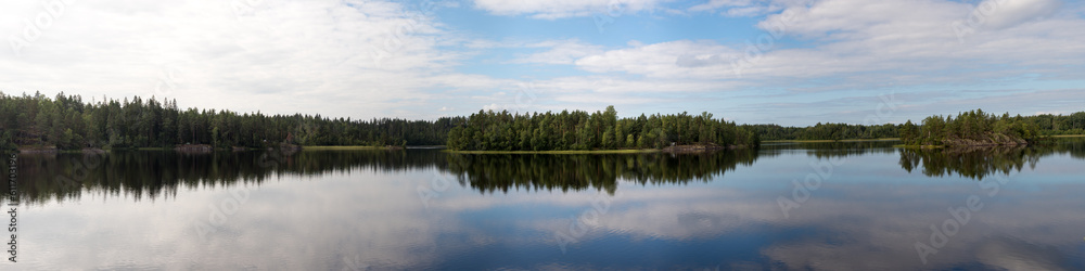 panorama of a forest lake