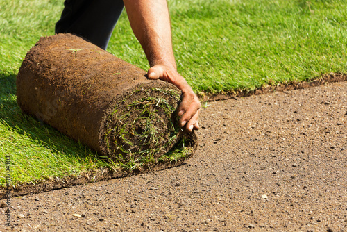 Close shot hands of a worker gardener without gloves laying down a roll of green grass turf in a garden. Gardening concept. Copy-space.