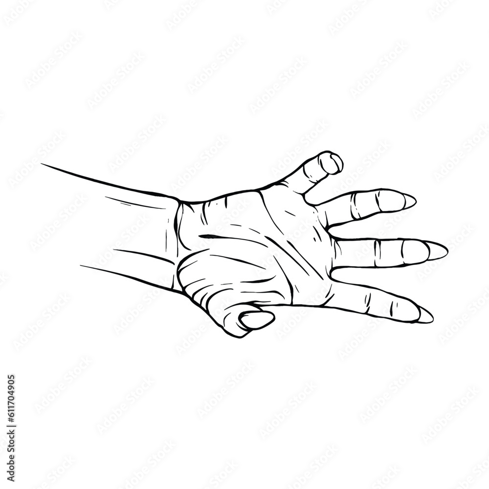 Obraz premium Hand drawn gesture sketch vector illustration line art
