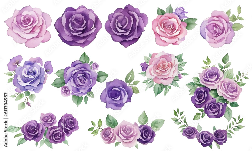 Watercolor purple roses with green leaves, botanical illustration, AI Generative