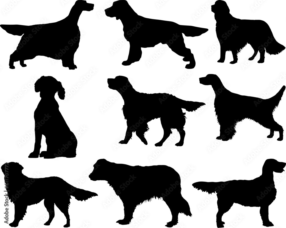 Set of English Setter Dogs Silhouette