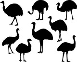 Set of Emu Silhouette