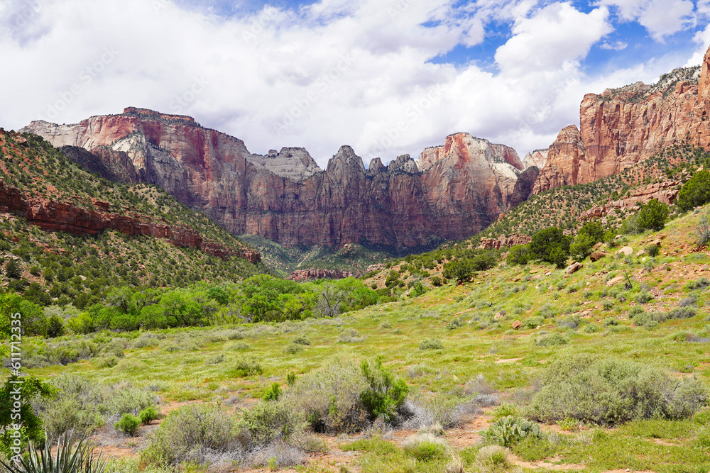 View in Zion National Park on a sunny day View in Zion National Park on a sunny day