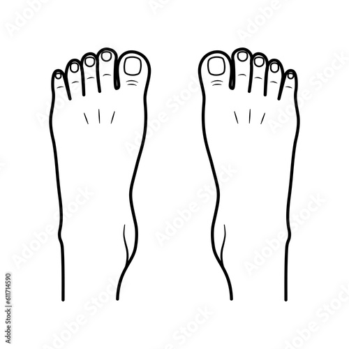 Two bare human feet. Top view. Foot legs. Vector flat outline icon illustration isolated on white background.