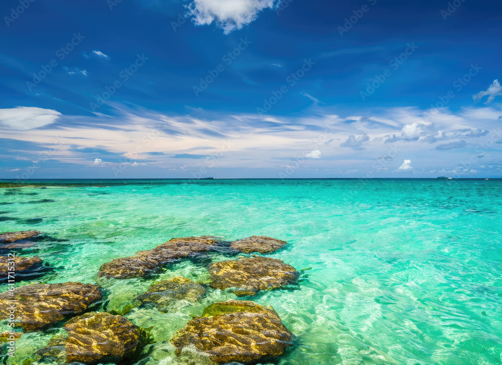 Obraz premium coral reef and sea
